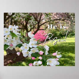 Maiblumen Rosa Ostern Poster