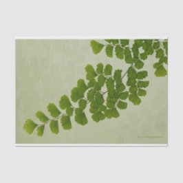 Maiden Hair Fern Frond Seidenpapier