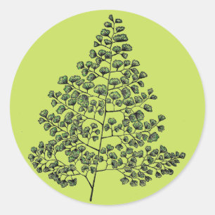 Maidenhair Farn Runder Aufkleber