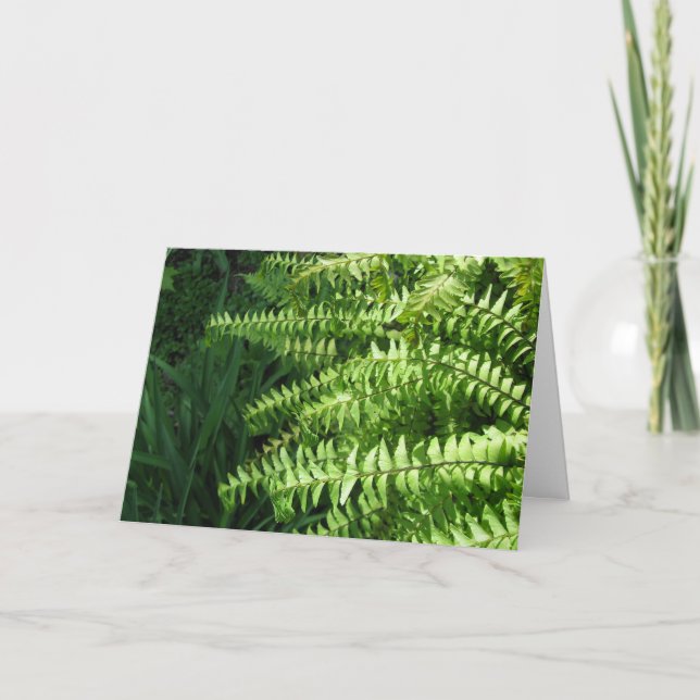 Maidenhair Ferns Vatertagskarte Dankeskarte (Vorderseite)