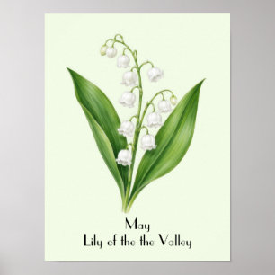 Maiglöckchen-Blumen Poster