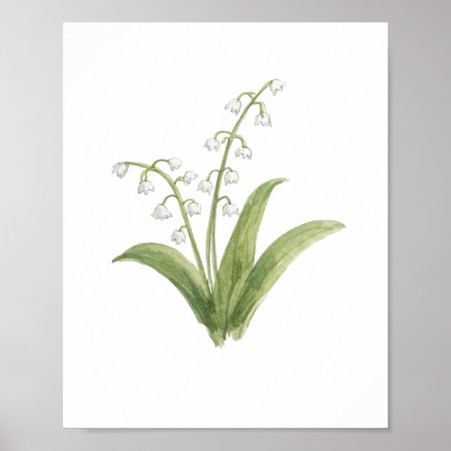Maiglöckchen-Blumenmalerei Poster (Vorne)