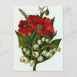 Maiglöckchen Und Mohn Vintage-Design Postkarte