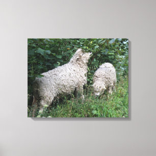 Maigre mouton Manger Feuille toile Imprimer