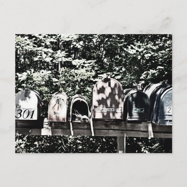Mailboxes on the Vineyard Postkarte (Vorderseite)