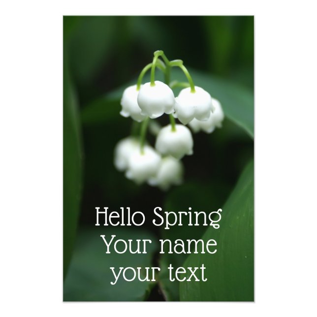 Maililiken Fotodruck (Vorne)