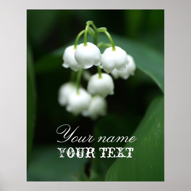 Maililiken Poster (Vorne)