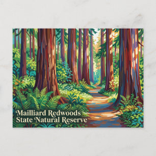 Mailliard Redwoods State Natural Reserve Postkarte