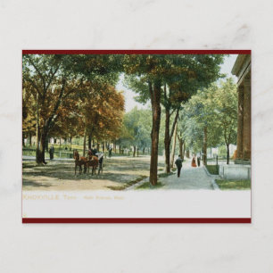 Main Ave., Knoxville TN 1909 Vintage Postkarte