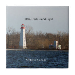 Main Duck Island Leuchtziegel Fliese