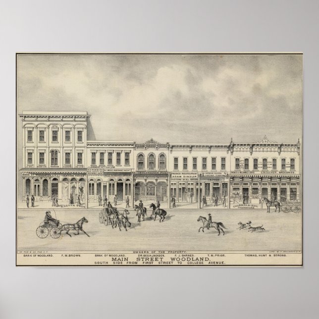 Main St Woodland 2 Poster (Vorne)