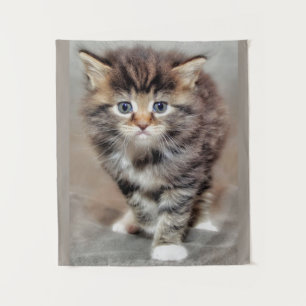 Maincoon ‎ Kitten Wandteppich