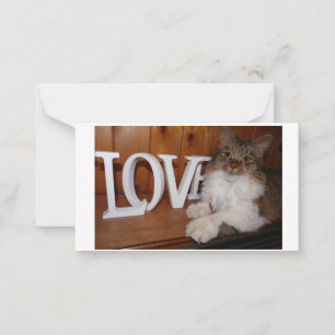 Maincoon Liebe Katze 3.5 x 2 Mitteilungskarte