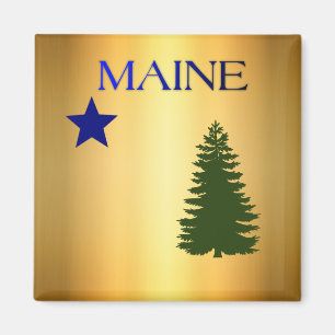 Maine (1901) magnet