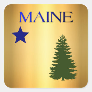 Maine (1901) quadratischer aufkleber