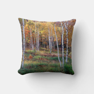 Maine, Acadia Nationalpark, Herbst Kissen