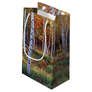 Maine, Acadia-Nationalpark, Herbst Kleine Geschenktüte