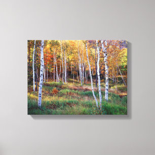 Maine, Acadia-Nationalpark, Herbst Leinwanddruck