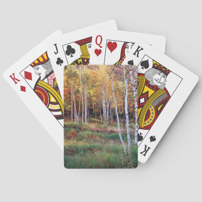 Maine, Acadia Nationalpark, Herbst Spielkarten (Rückseite)
