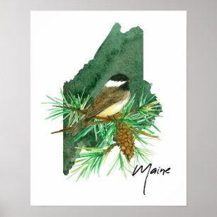 Maine Bundesstaat Umriss Schwarzhaubenmeise  Poster