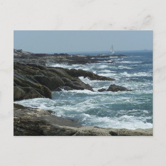 Maine Coast Postkarte (Vorderseite)