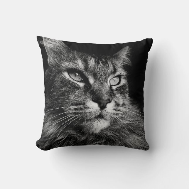 Maine Coon Cat 16 x 16 Kissen (Vorderseite)