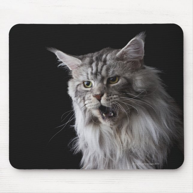 Maine Coon Cat 2 Mousepad (Vorne)