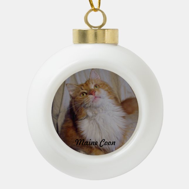 Maine Coon cat Ball Ornament (Vorderseite)