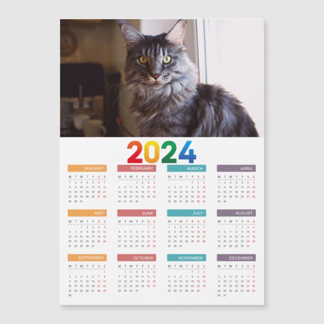 Maine Coon Cat Calendar Magnetkarte (Vorderseite)