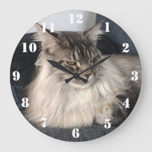 Maine Coon Cat Clock Große Wanduhr