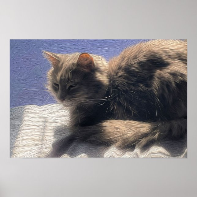 Maine Coon Cat Foto Poster (Vorne)