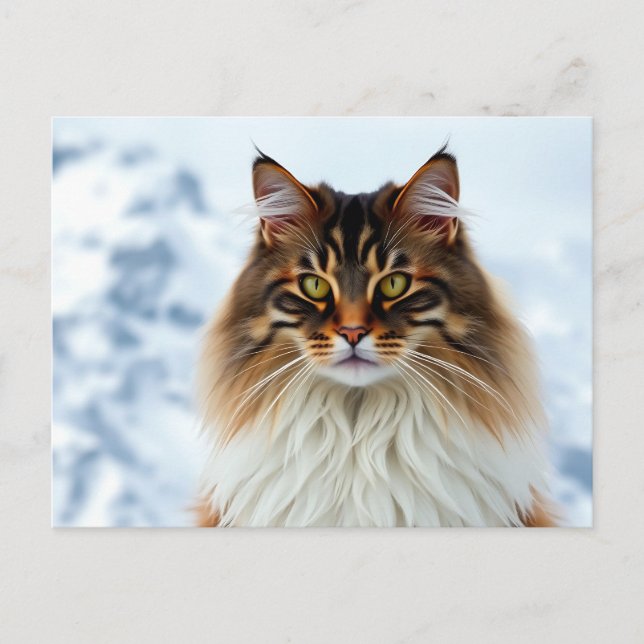 Maine Coon Cat in einem Portrait der Schneewilderh Postkarte (Vorderseite)
