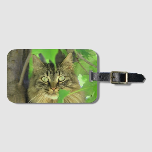 Maine Coon Cat in Tree Gepäckanhänger (Vorderseite (Horizontal))
