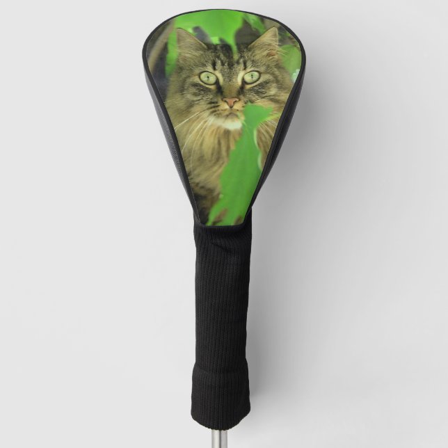 Maine Coon Cat in Tree Golf Headcover (Vorderseite)