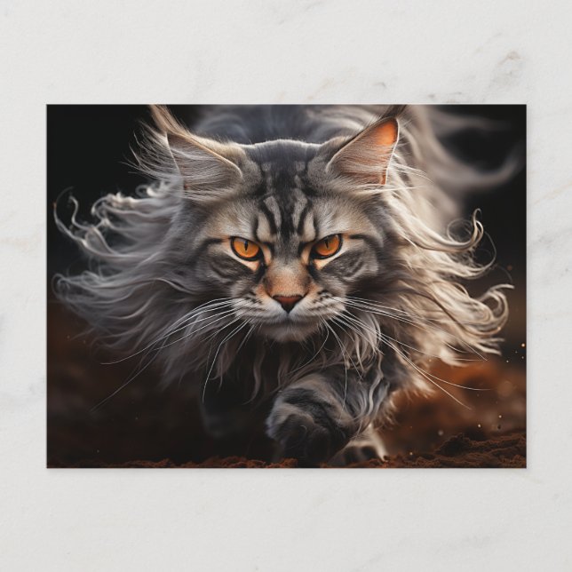 Maine Coon Cat Jagd Postkarte (Vorderseite)