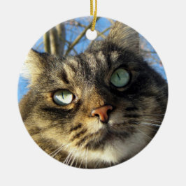 Maine Coon Cat Kitty Keramikornament