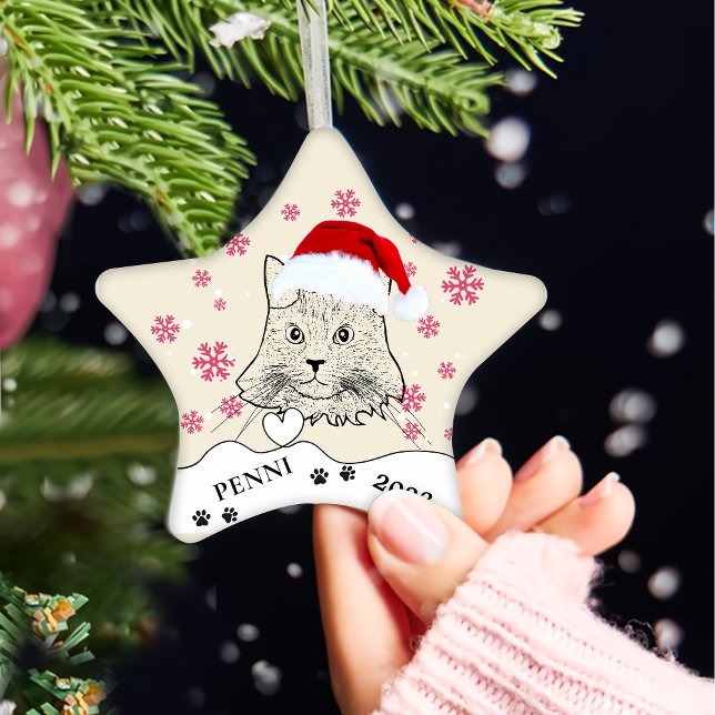 Maine Coon Cat Personalisiert Hand Zeichnend Keramik Ornament (Von Creator hochgeladen)