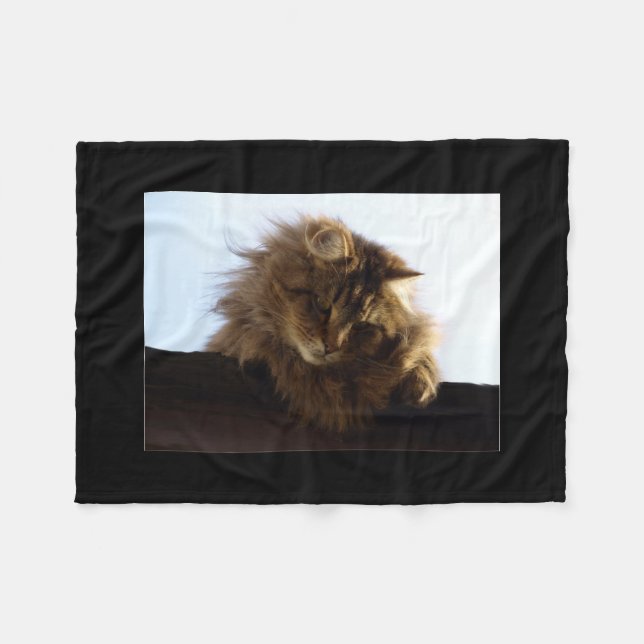 Maine Coon Cat Pet Fleecedecke (Vorderseite (Horizontal))