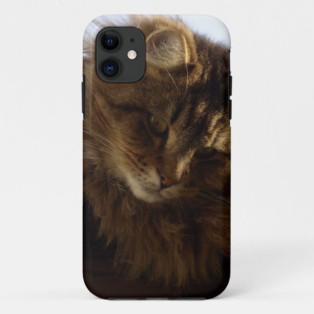 Maine Coon Cat Pet Phone Case (Rückseite)