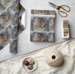 Maine Coon Cat Portrait Wrapping Paper Geschenkpapier