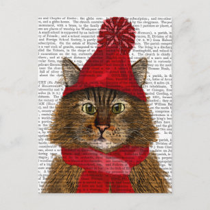 Maine Coon Cat Postkarte