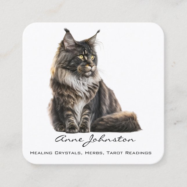 Maine Coon Cat Square Business Card Quadratische Visitenkarte (Vorderseite)