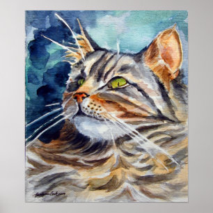 Maine-Coon-Cat-Wand-Poster drucken Poster