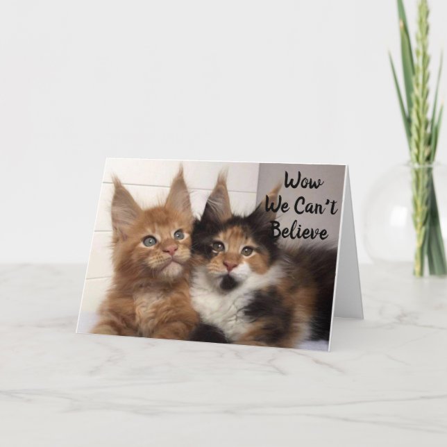 MAINE COON CATS SAGEN **40?** SIE? GEBURTSTAG KARTE (Vorderseite)
