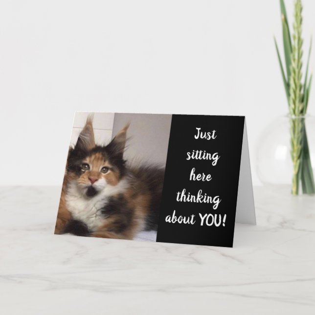 MAINE COON CATS SAGEN **40?** SIE? GEBURTSTAG KARTE (Vorderseite)