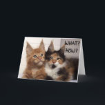 MAINE COON CATS SAY **30?** YOU? BIRTHDAY CARD KARTE<br><div class="desc">DIESE BEIDEN MÜNZENKATZEN SIND SO NIEDLICH, DAMIT SIE HIER AUF EIN PAAR MEINER KARTEN BEI OverWhatHill mit verschiedenen Versen und natürlich unterschiedlichen ALTERN SIND, ABER SIE KÖNNEN DAS ALTER IN SEKUNDEN ÄNDERN ODER AUF MEINEN KARTEN, WENN SIE WOLLEN. VIELEN DANK FÜR DAS STOPPEN EINES MEINER NEUN GESCHICHTE!!!</div>