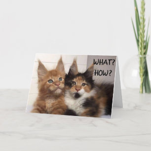 MAINE COON CATS SAY **30?** YOU? BIRTHDAY CARD KARTE