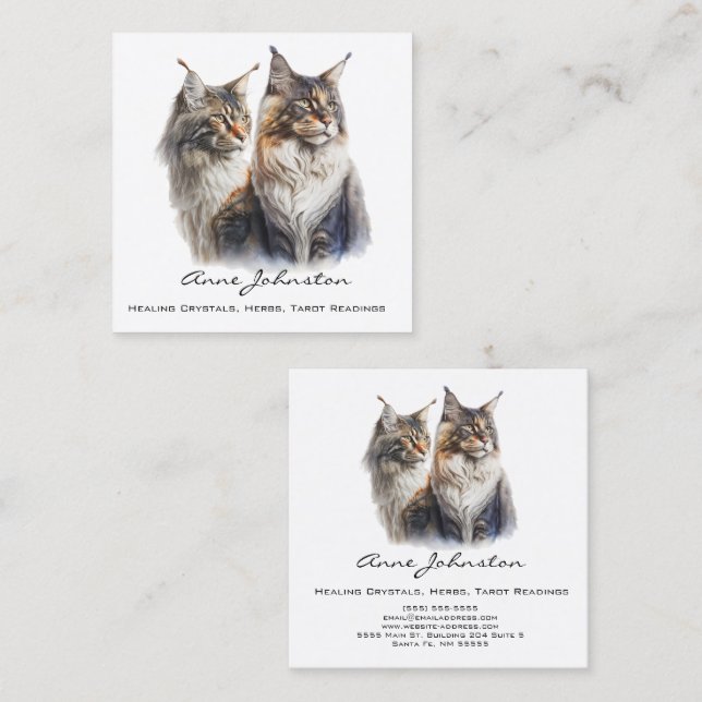 Maine Coon Cats Square Business Card Quadratische Visitenkarte (Vorne/Hinten)