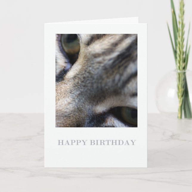 Maine Coon Close Up, Photographie carte d'annivers (Devant)