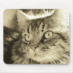 Maine Coon Face 2 Mousepad